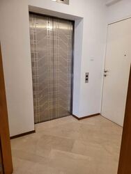 Charleston (D10), Apartment #564114731
